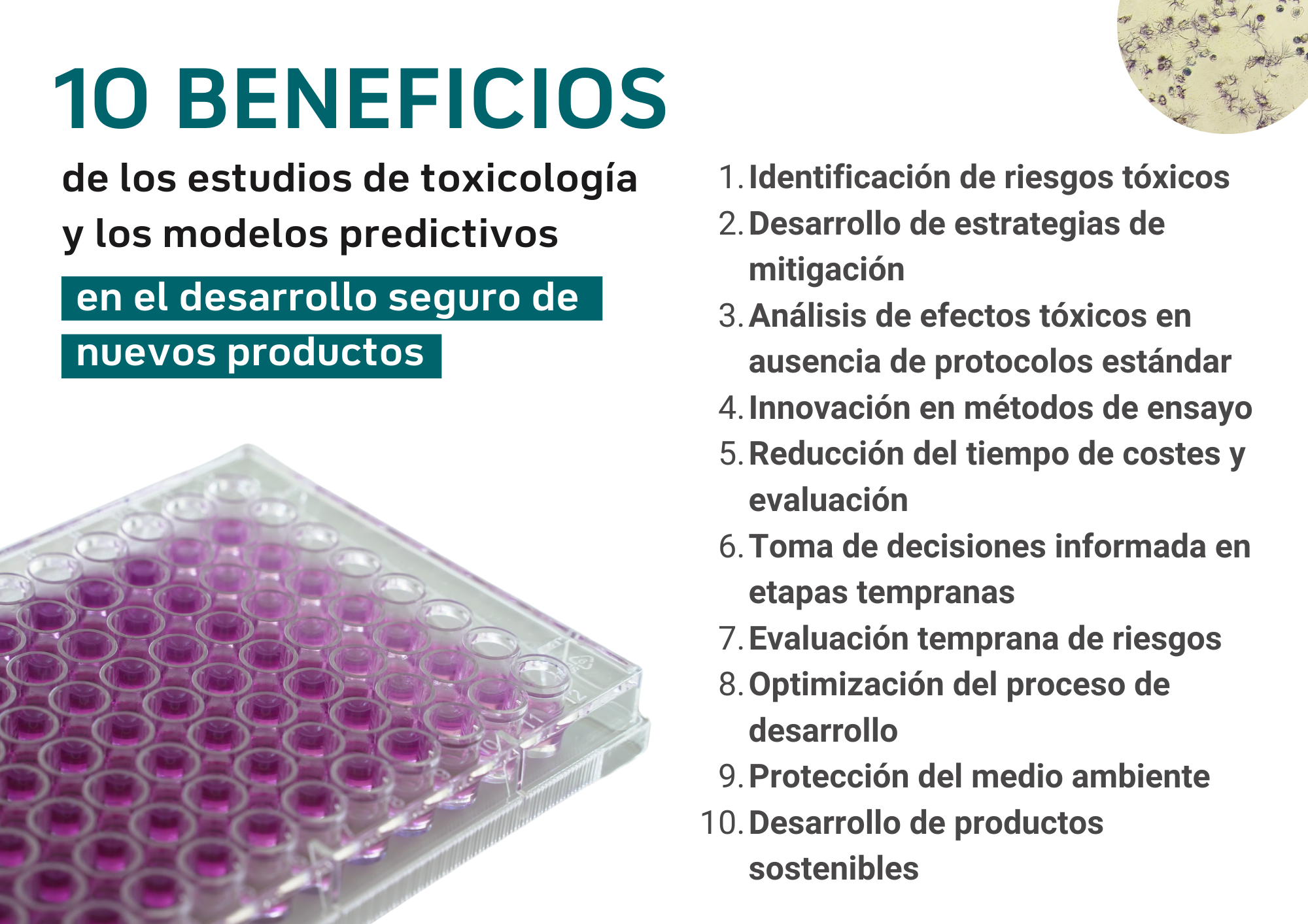 estudios toxicología y modelos predictivos